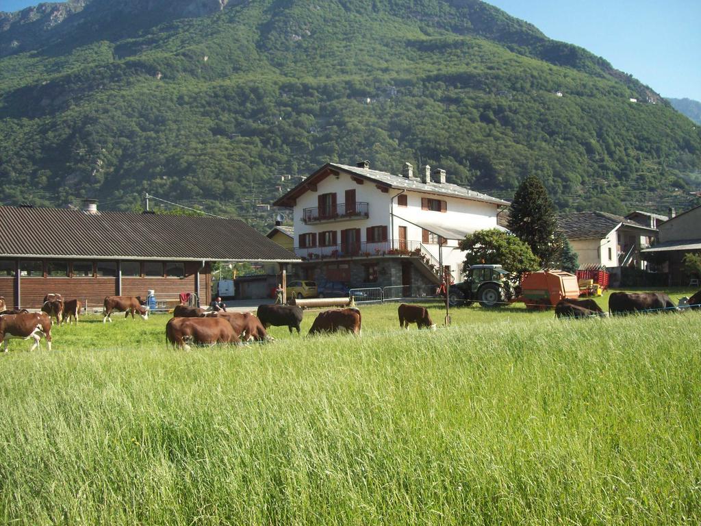 Agriturismo La Grange Пон-Сен-Мартен Екстер'єр фото