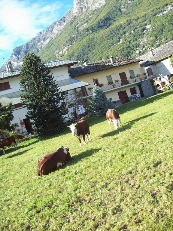 Agriturismo La Grange Пон-Сен-Мартен Екстер'єр фото