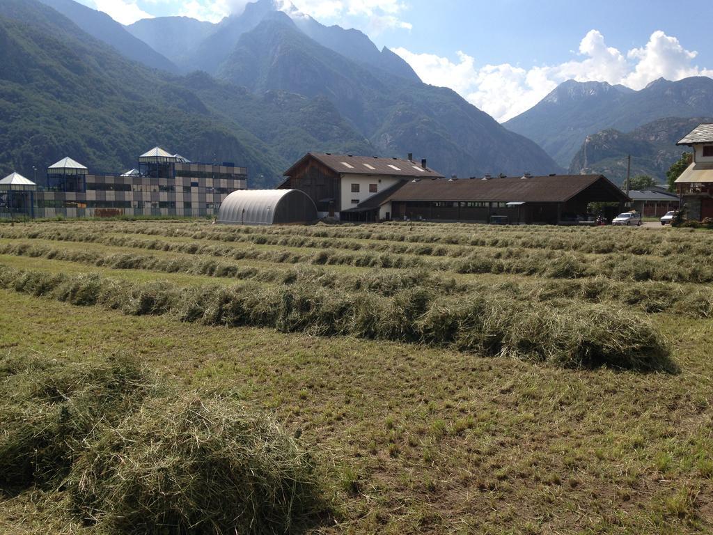 Agriturismo La Grange Пон-Сен-Мартен Екстер'єр фото